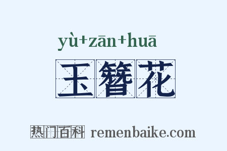 玉簪花是什么意思的图片